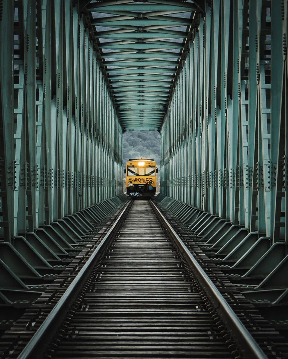 theglobalphotocommunity tweet media