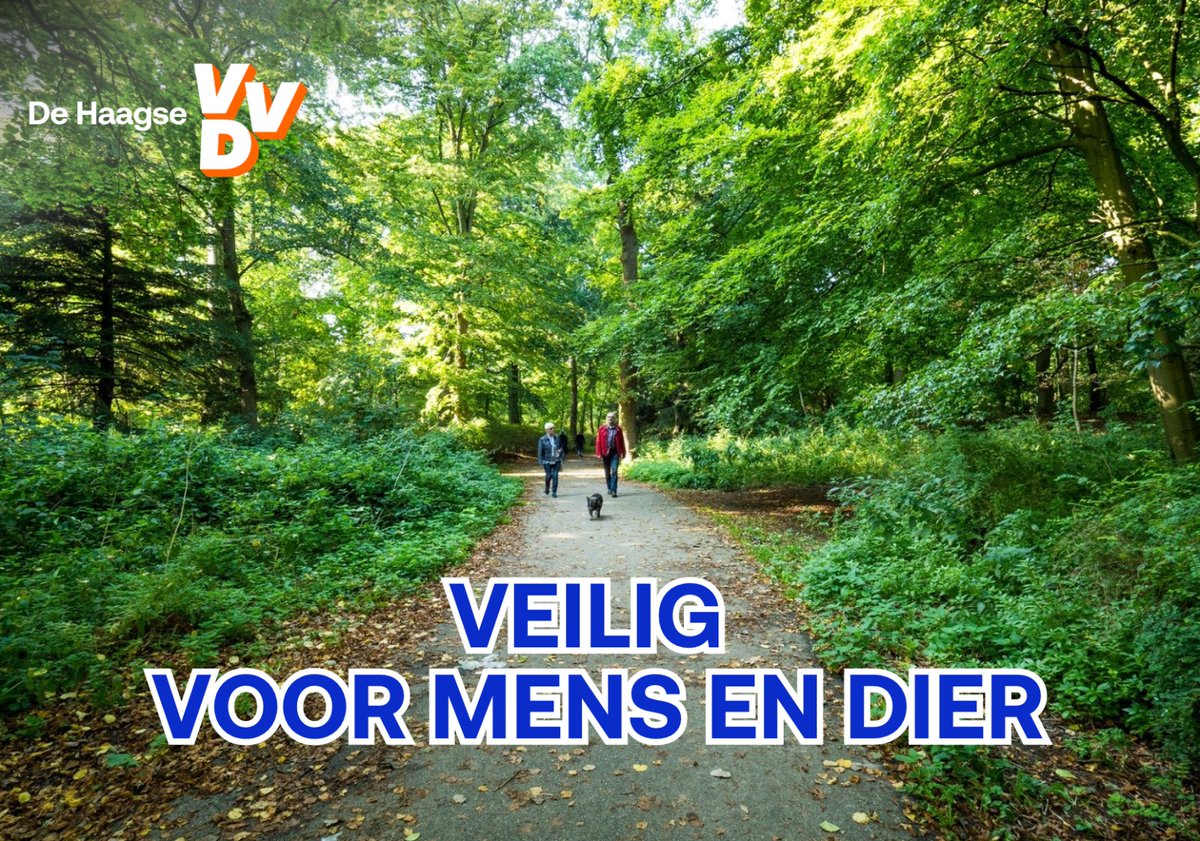 laevbb's tweet photo. Wat een nieuws! Eindelijk komt het college in actie om wat te doen aan de onmenselijke situatie van buitenslapers in de Haagse parken.

Na jaren sleuren en trekken vanuit de raad gaat de gemeente handhaven op tentjes, met tijdelijke opvang en begeleiding voor de buitenslapers.

https://t.co/m8bvXH3lb9