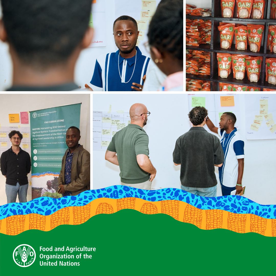 FAO and the SDGs tweet media