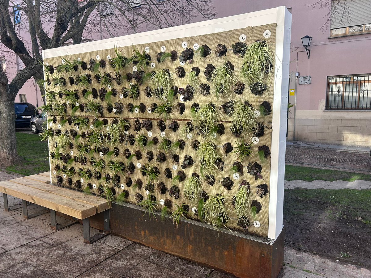 Paco Guarido tweet media