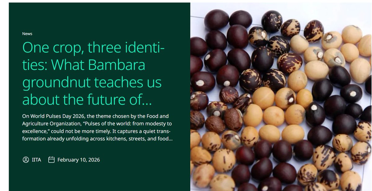 CGIAR Nutrition tweet media