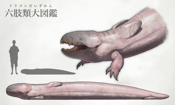 鉱物食ドラゴン 腸内に生息する鉱物を分解し増殖するバクテリアを栄養源としている 翼は音を出す器官に変化し、それを用いて同族とコミュニケーションをとる