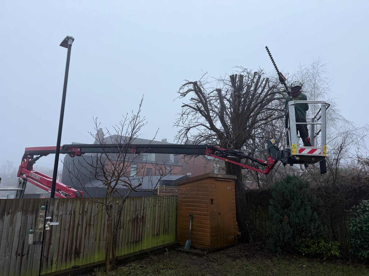 Bardsey Tree Services tweet media