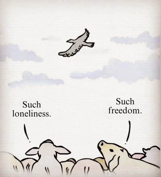 mindfulmaven_'s tweet photo. It's all about your perspective. https://t.co/4LfF07LsUm