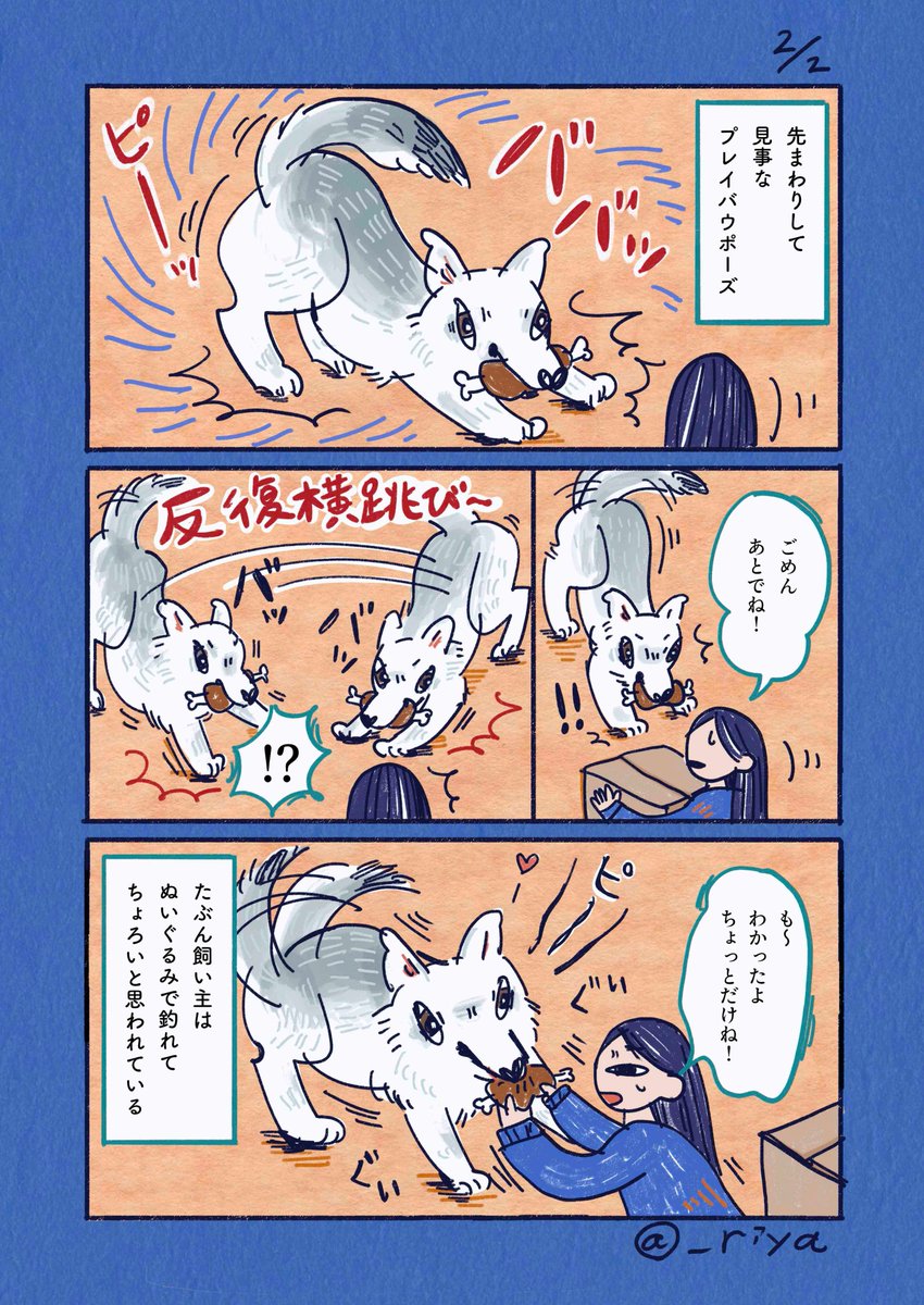 デカい狼犬との日常改めおおかみいぬのサン🐺
「忙しい時」

現在本の制作真っ最中で忙しく比例してサンのかまってくれアピールも強くなり
最近ではトイレに行きたい、水が飲みたいなど嘘の演技で人間の気を引くことを覚えて手口が日々進化しています