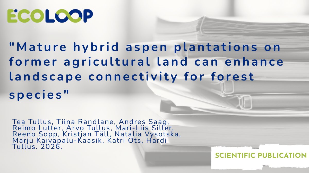 Ecoloop Project tweet media