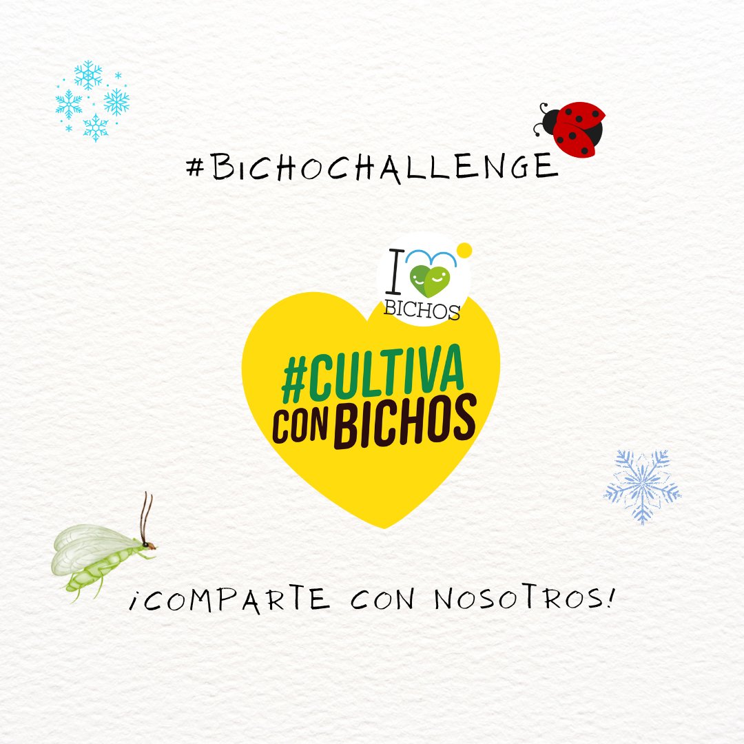 I LOVE BICHOS tweet media