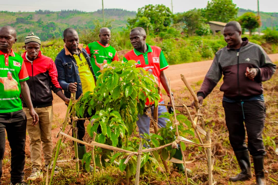 CnddFddButanyer's tweet photo. Ayo mazone yagendeye akaba ari #Nyenzi,#Cumba,#Baziro,#Gitobe na #Mukerwa.Akaba yarashimiye cane urworwaruka kw'iyo ntambwe rugezeko mwiterambere ariko abasaba kandi kwamanantaryo babumbatiramahoro numutekano
2/2
@CnddFdd
@R_Ndikuriyo
@cnddfddyouth https://t.co/2NsgtkLFVB