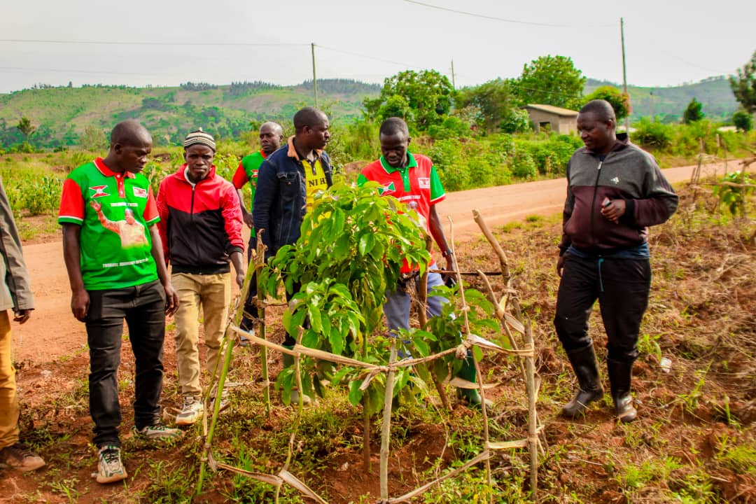 CnddFddButanyer's tweet photo. Ayo mazone yagendeye akaba ari #Nyenzi,#Cumba,#Baziro,#Gitobe na #Mukerwa.Akaba yarashimiye cane urworwaruka kw'iyo ntambwe rugezeko mwiterambere ariko abasaba kandi kwamanantaryo babumbatiramahoro numutekano
2/2
@CnddFdd
@R_Ndikuriyo
@cnddfddyouth https://t.co/2NsgtkLFVB