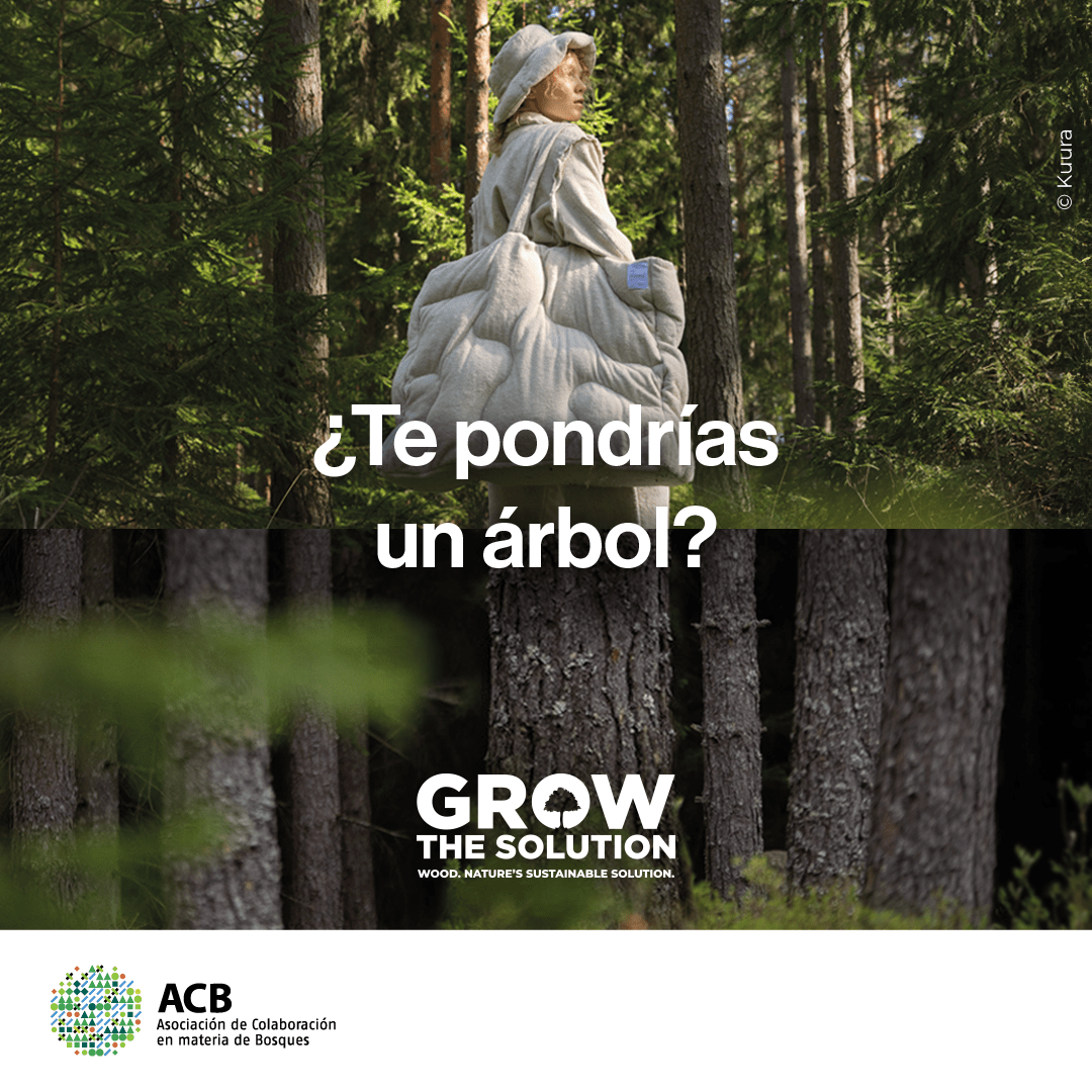 FSC España tweet media