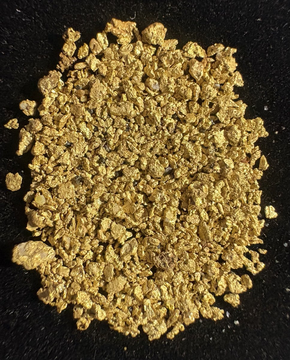 大量の砂金GET‼︎ とある川に砂金採りに行きました。5時間川を掘り岩盤