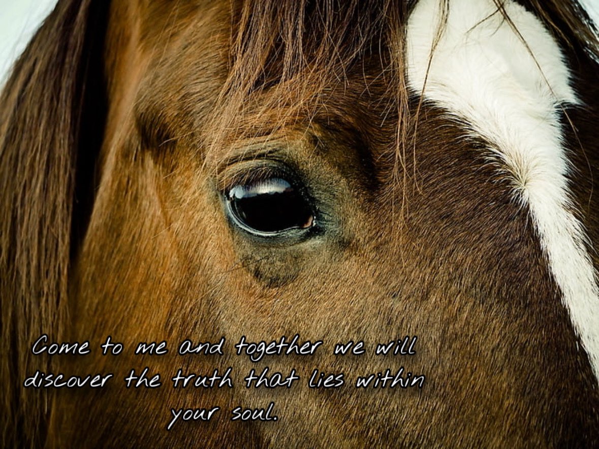 It is time to shed your human skin: The Year of the Horse has begun