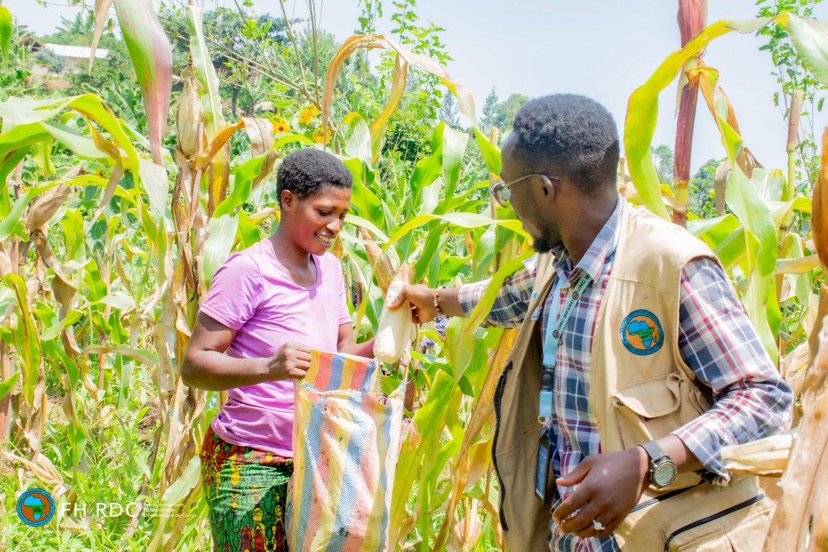 ONG BIFERD tweet media