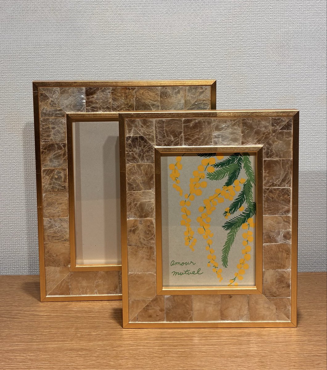 ✨新作入荷しました✨ 天然のシェルを使ったとてもキレイなフォト