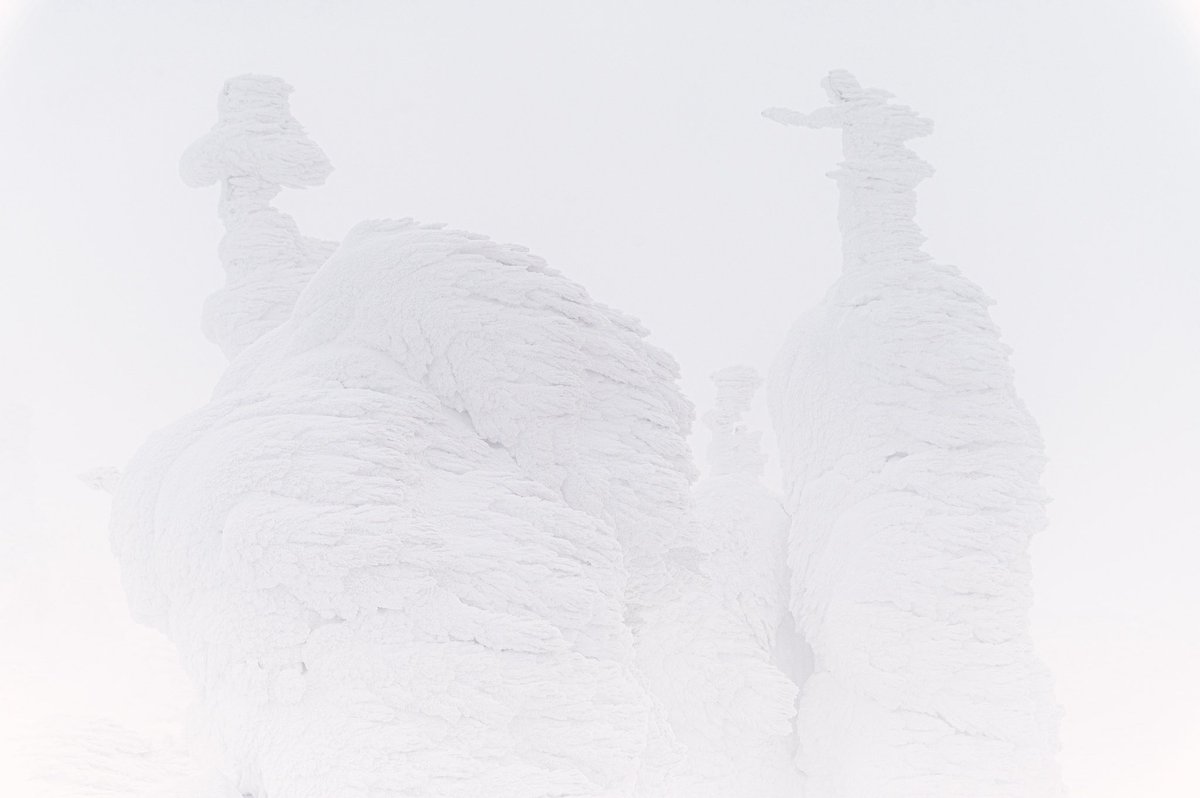 KensakuSEKI's tweet photo. 山形県・蔵王、地蔵岳で見つけた模様。
2026.2.14
#蔵王
#樹氷
#snowmonster https://t.co/MmzfseeT1k