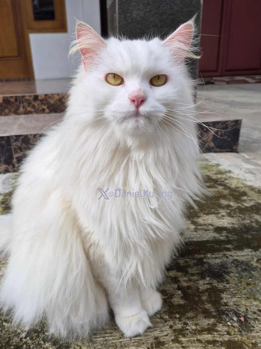 I grew up looking like my dad