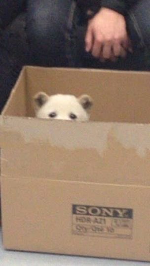 gong711805's tweet image. 오늘 안에 1M 찍을 수 있을까요...?!