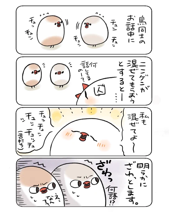 我が家のちゃむむむ日記 