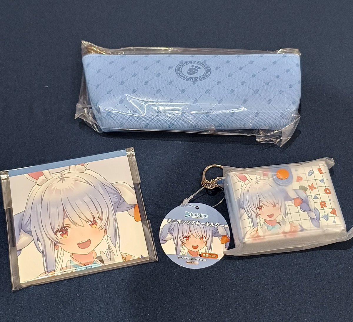 兎田ぺこら SSP GINZOケース付き hololive の #サンスター文具 が入荷しました！ #兎田ぺこら #宝鐘