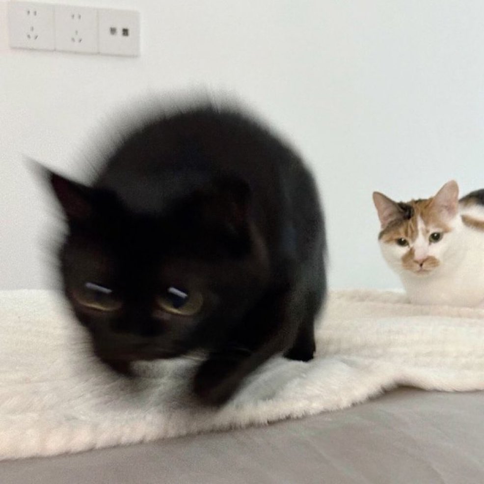 SP once you drop the fuckin bitching