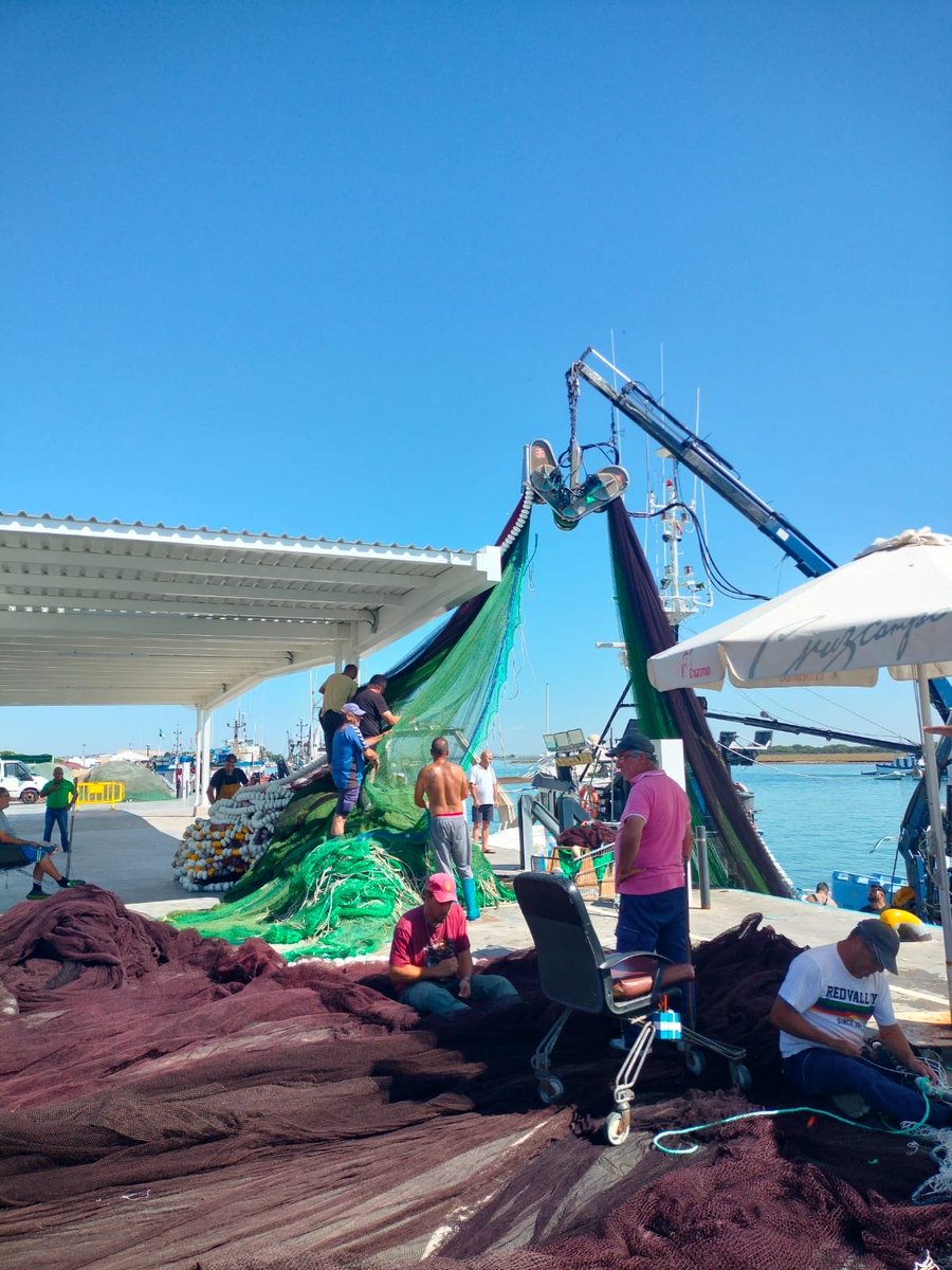 PSOE Punta Umbría tweet media