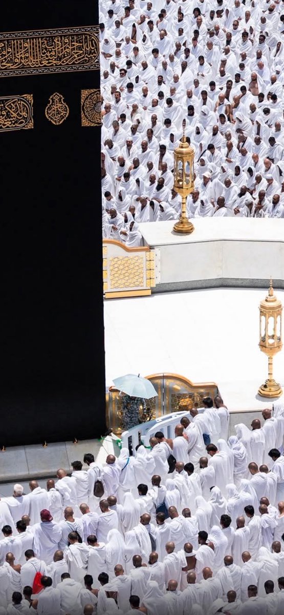 ‏علي الحلافي 🇸🇦 tweet media