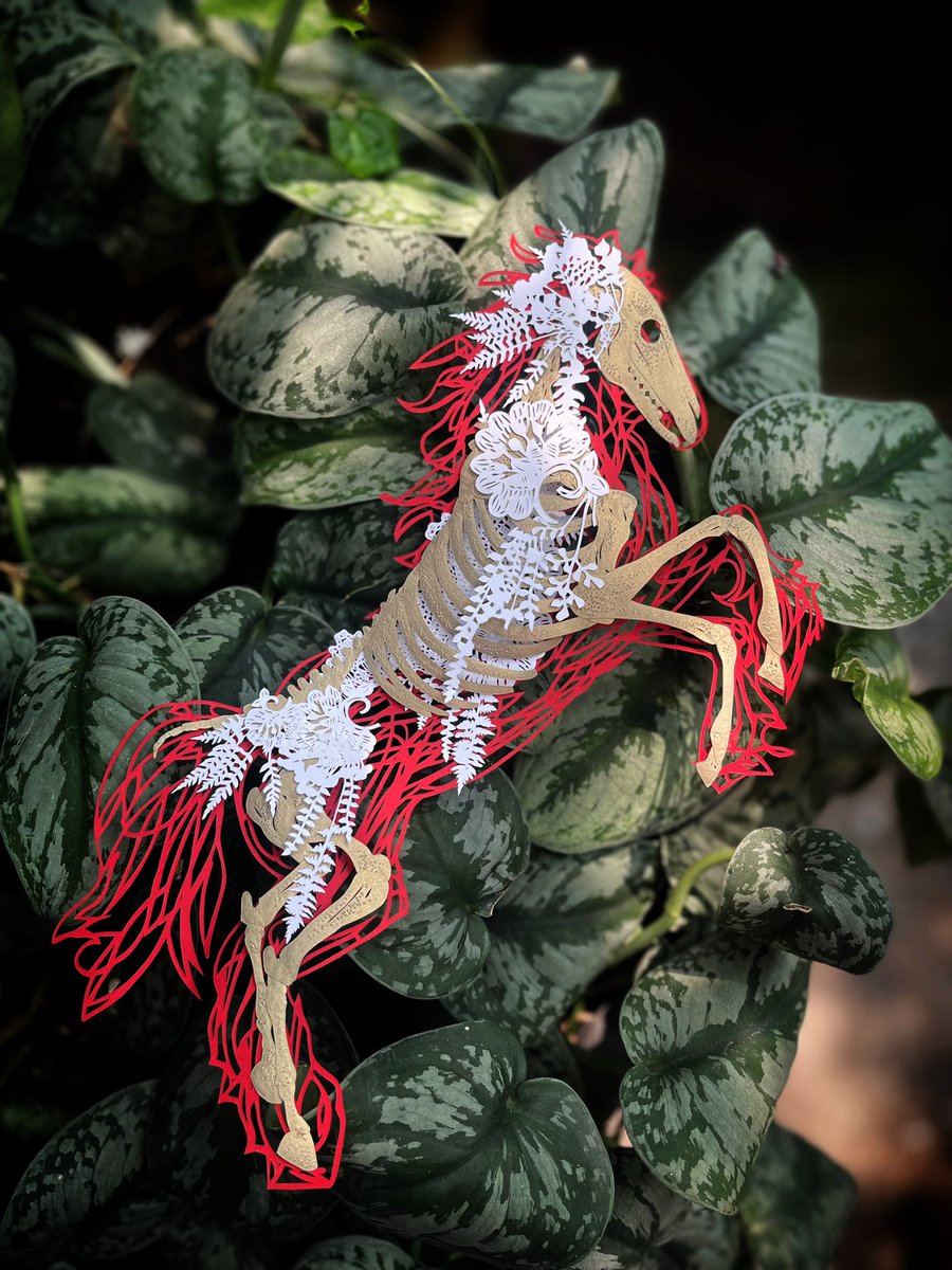 COLLAGECANTO tweet media