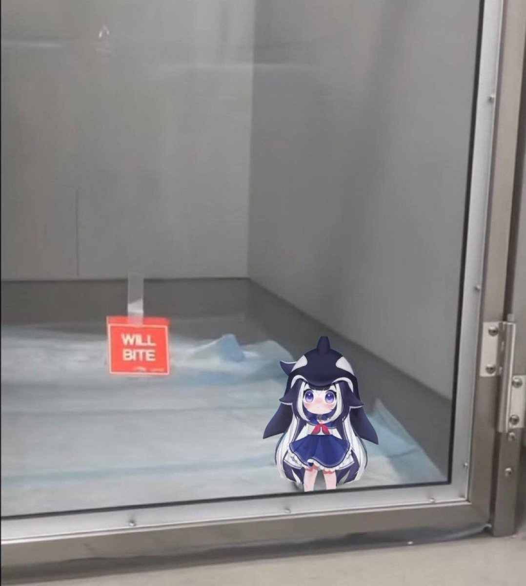 Shylily Virus (Fan)🦐 tweet media