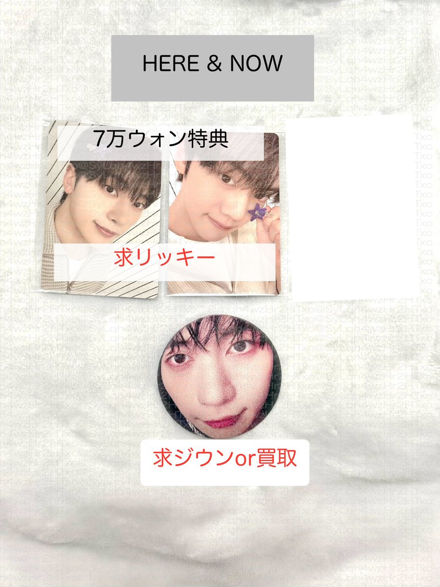 ✴︎𝔖𝔢𝔞✴︎ tweet media
