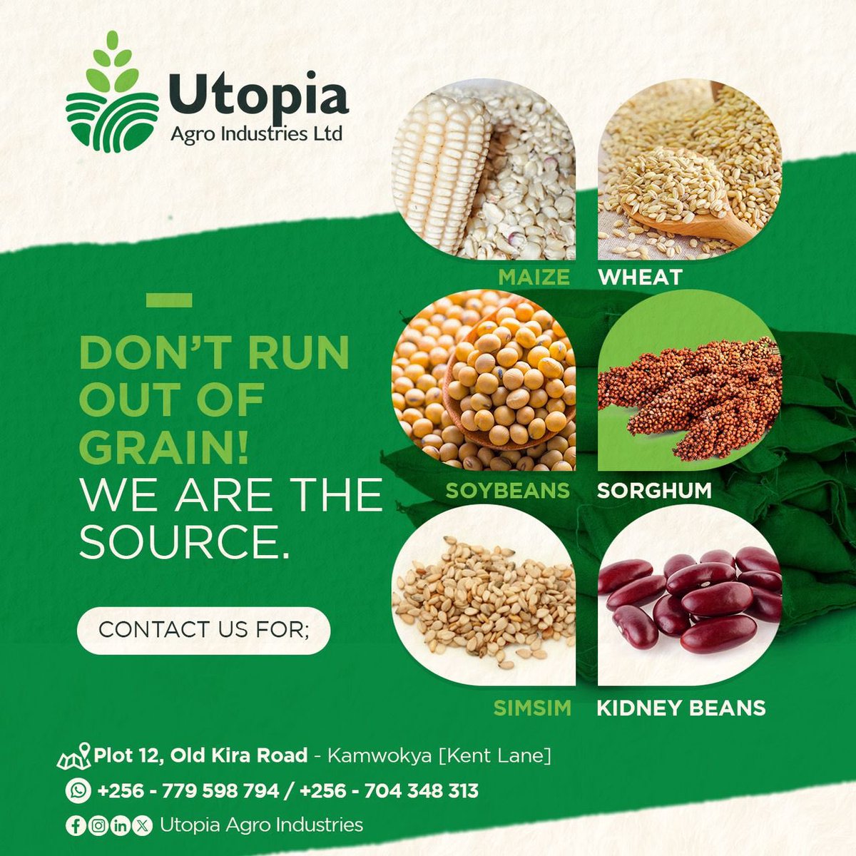 UtopiaAgro's tweet photo. Never wonder where your next delivery is coming from when we are here!

With us, your supply chain is secure. As a premier source for quality grain, we ensure you’re always stocked and ready.

#UtopiaAgroIndustries #Grain #Maize #Sorghum #Soybeans #KidneyBeans #Simsim https://t.co/27gW269h3a