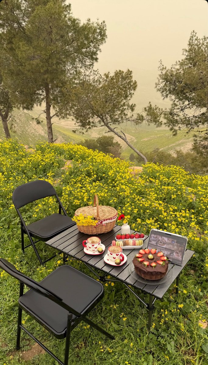 ربيع البلاد 🤍