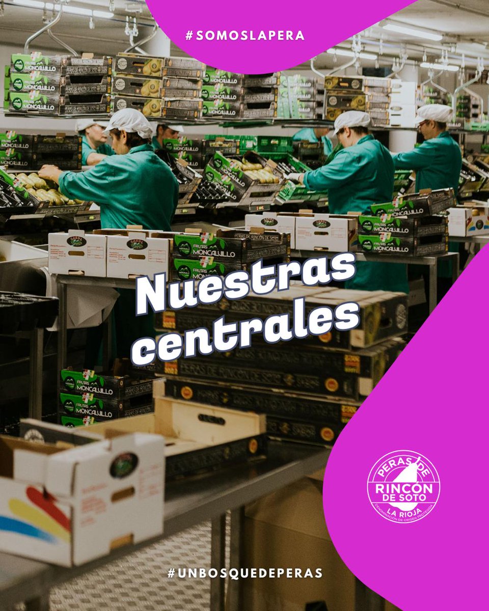 DOP Peras de Rincón tweet media