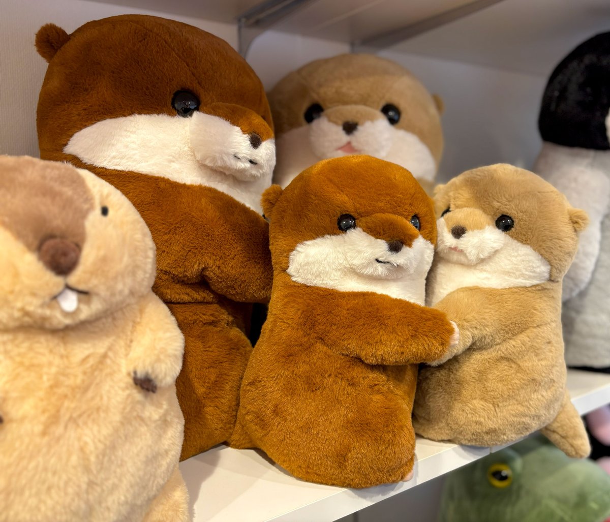 「人間さんたち、もう画面とじるよ。」「たまにははやく寝るんだよ。」

#くったりカワウソ