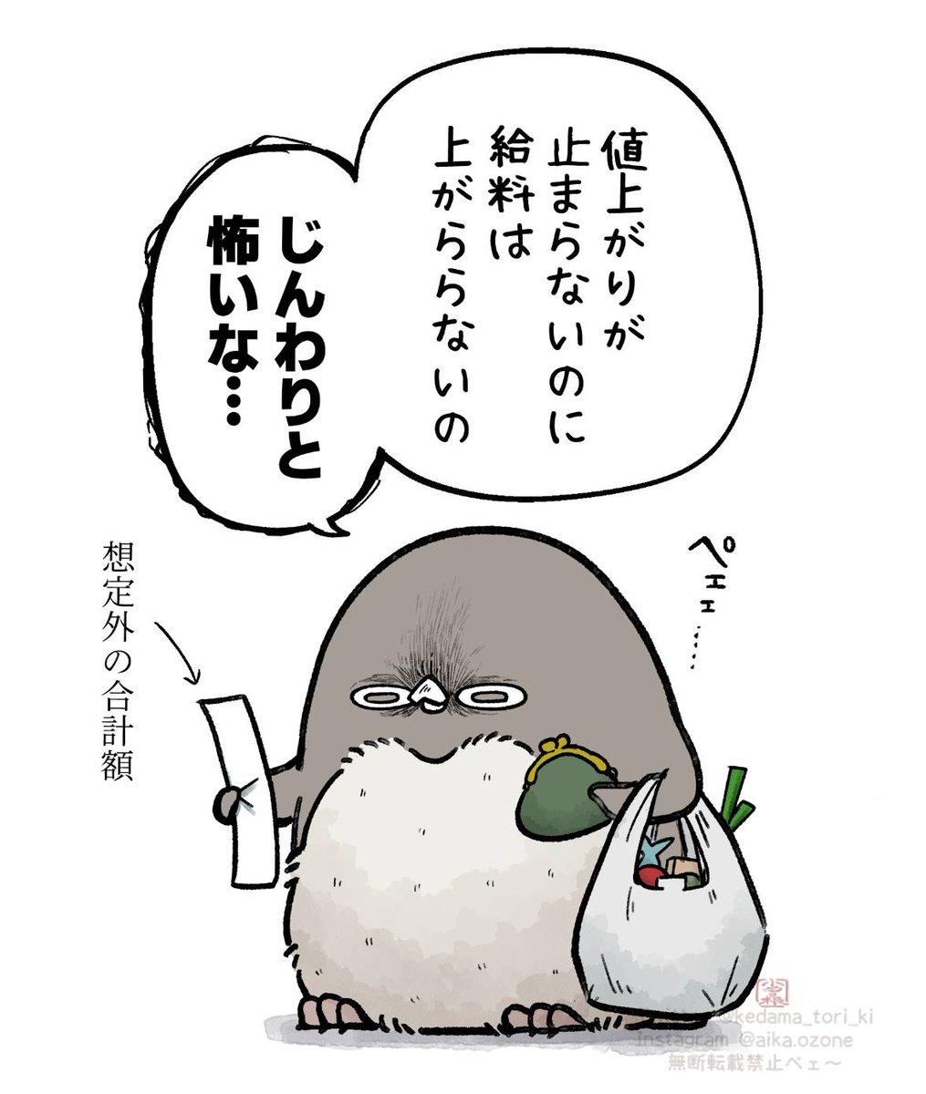 スーパーで1000円を切ると心の中でガッツポーズ👍🏻😭