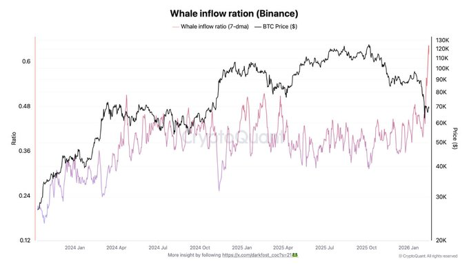 🐋 LATEST: Whale Inflow Ratio on Binance surges from 0.40 to 0.62, signaling a sharp spike in large $BTC deposits as the market correction deepens.