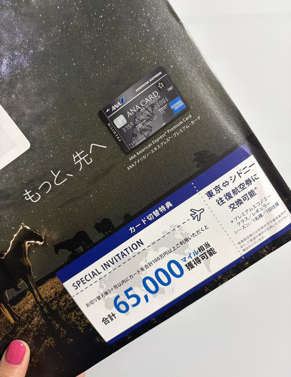 mai ✈︎ 2025年SFC修行 (@its__you) / Posts / X