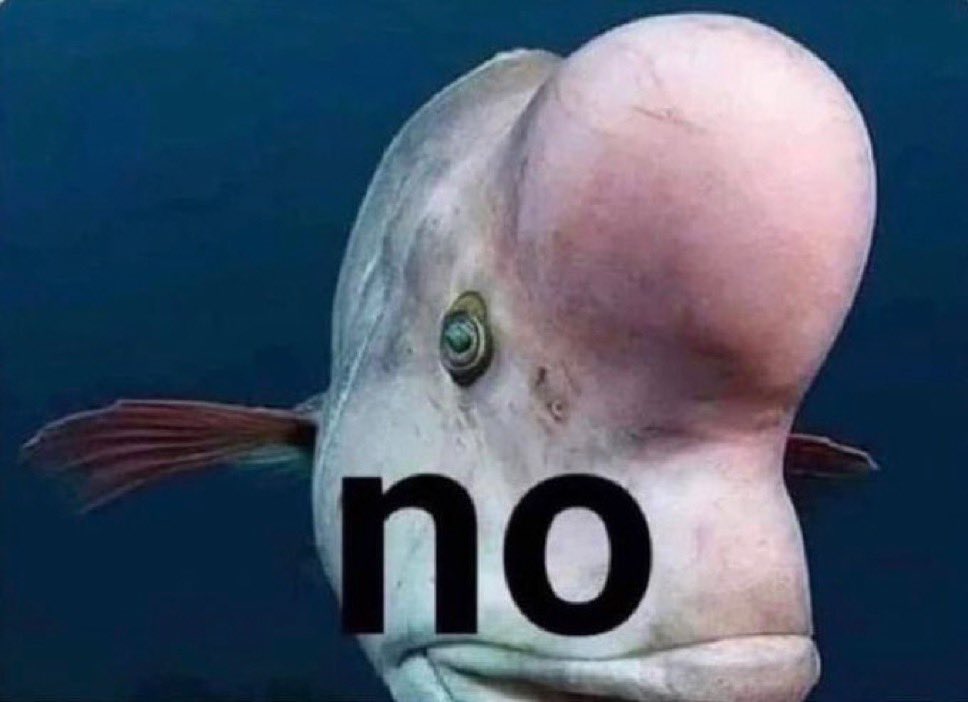 mi madre: “ya t tocaste el grano???”

yo: