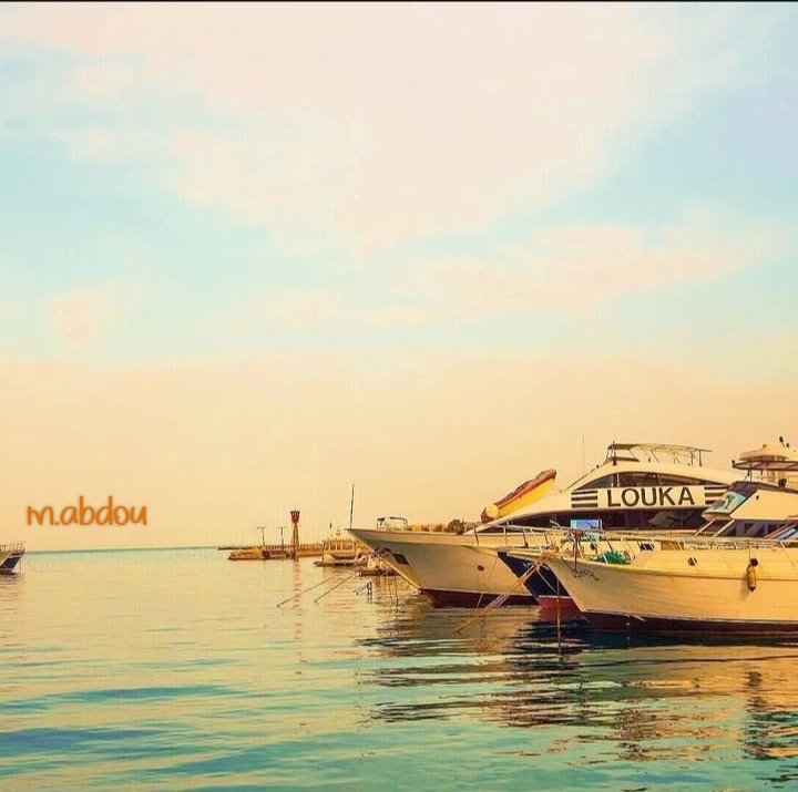 M_abdou9's tweet photo. #by_me
#egypt_suez_sokhna
❤️❤️ https://t.co/XfUVg1fiKX