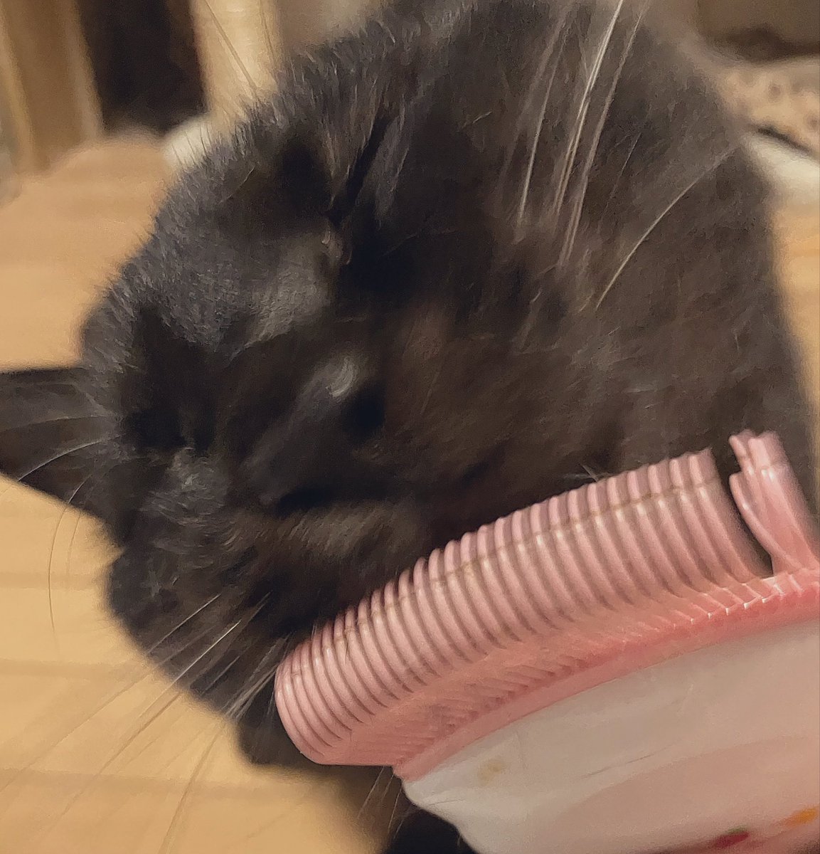 アゴは自分でやる派🐈‍⬛