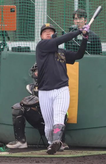 プロ野球 #阪神タイガース #春季キャンプ 17日 #沖縄 #宜野座 #大山