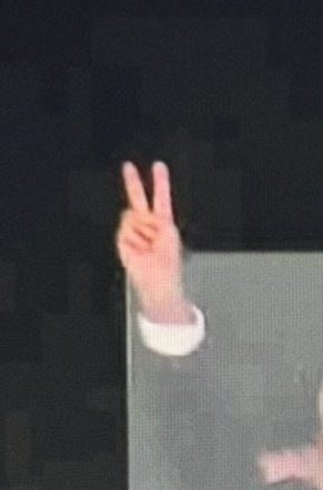 نیلوفر یاری tweet media