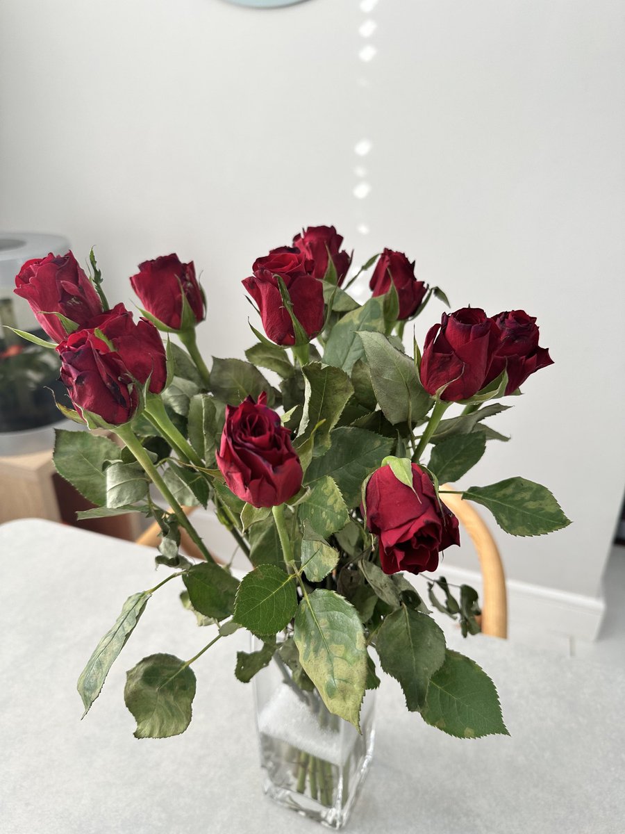 skiindoo's tweet photo. @marksandspencer this’ll be the last time I buy flowers from you! Delivered on Saturday, this is them today! https://t.co/DCNVrrtmep