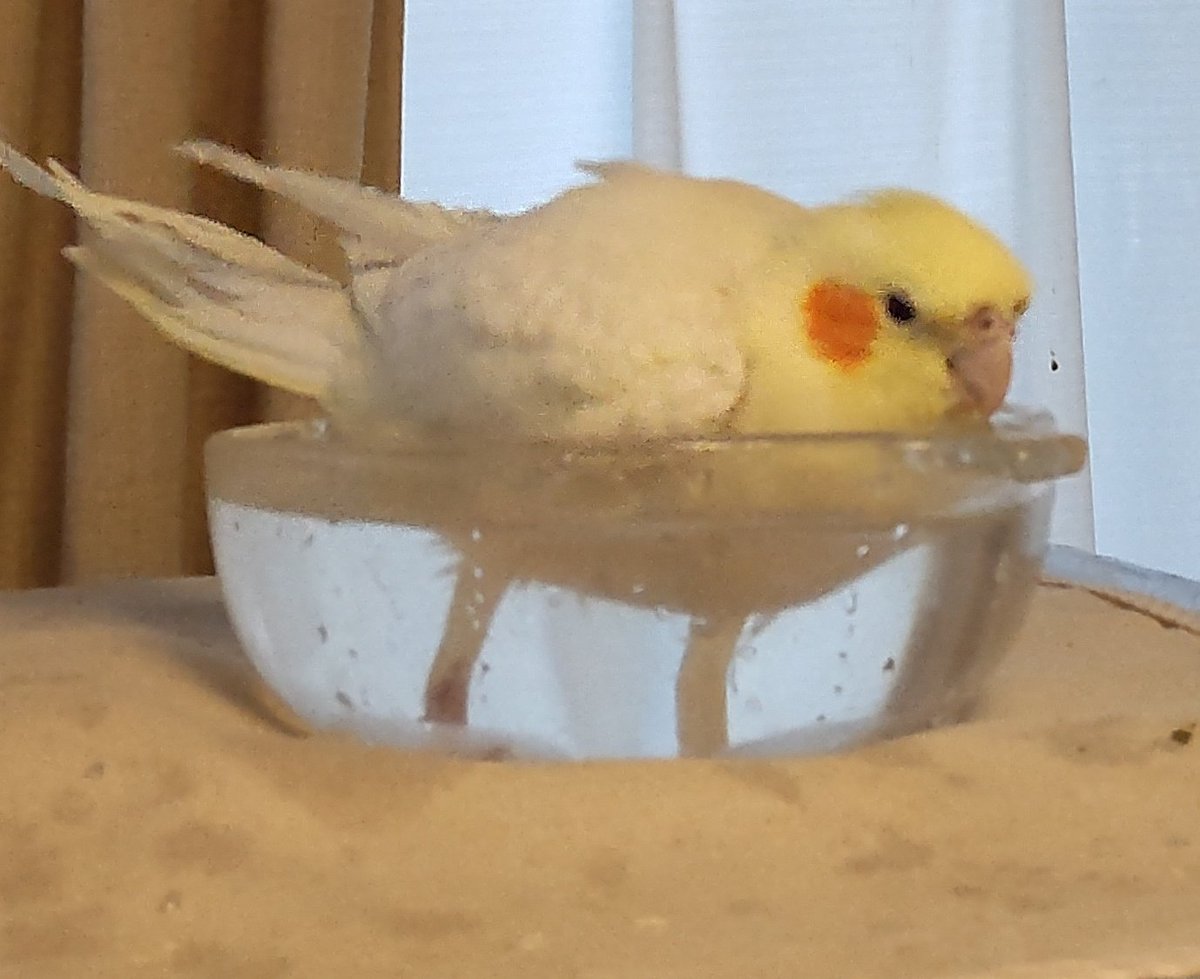 水に浸かると足めっちゃ長くなる