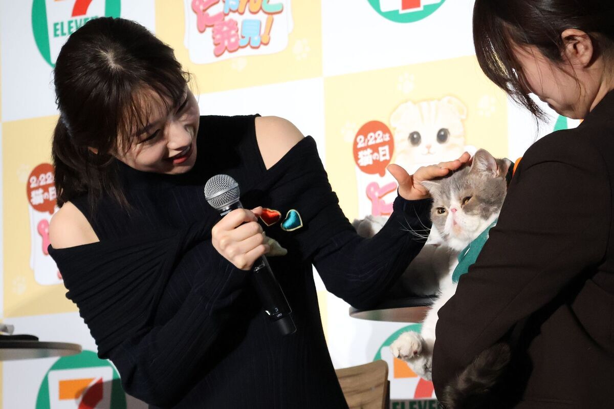 セブン-イレブン、猫の日企画「にゃんこ発見!」🐱💗 猫好きの商品開発