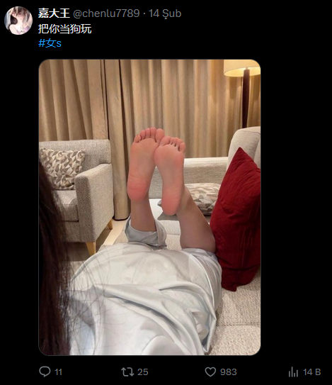 Çinli 14 Şubatta atmış tiviti... bizimki 16 şubatta patlatmış... para sömürecek sşdkjf