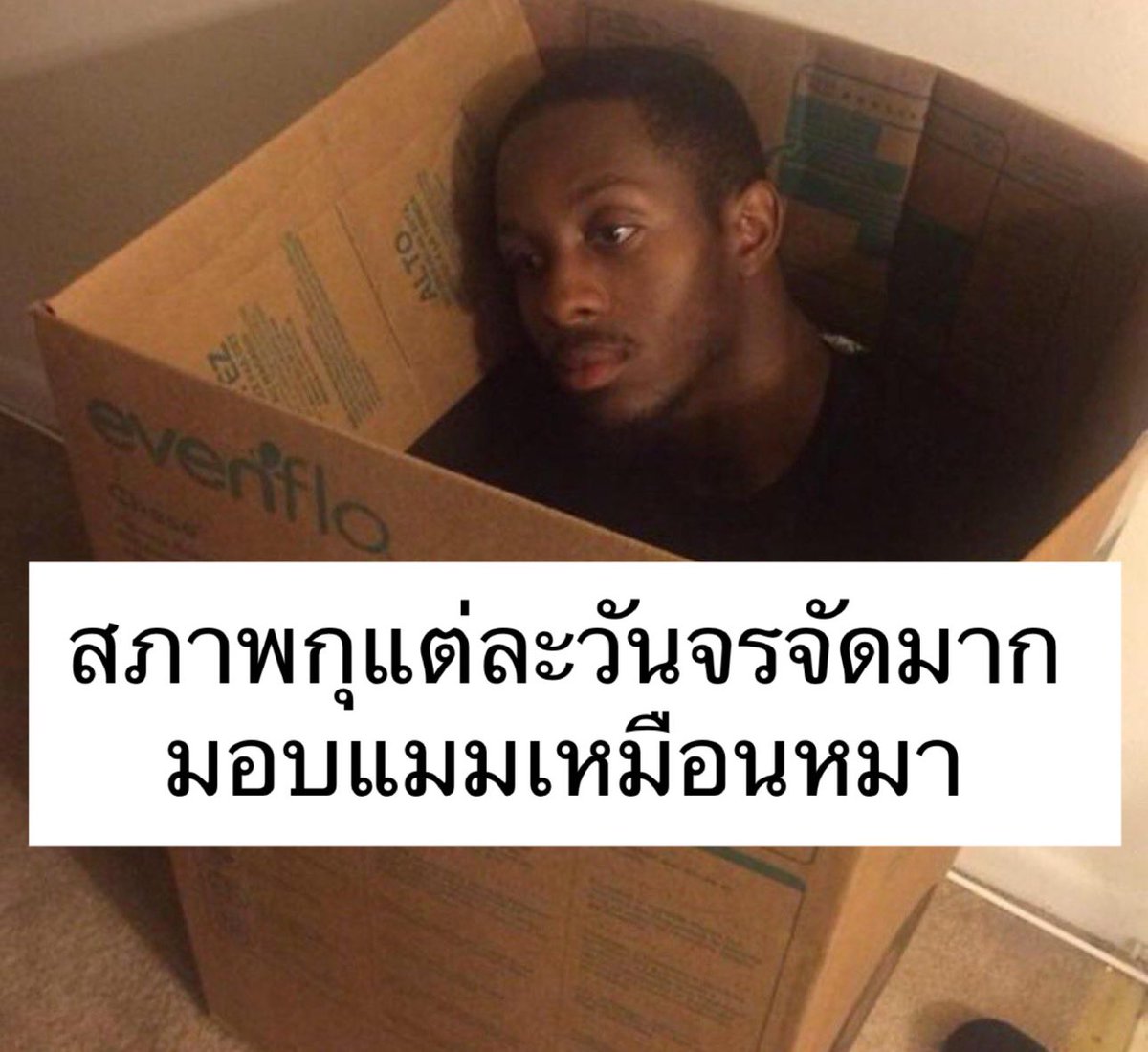 sutiฯ tweet media