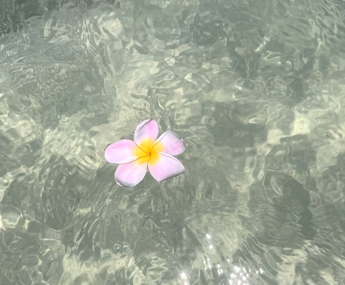 dreamyyarchive's tweet image. 