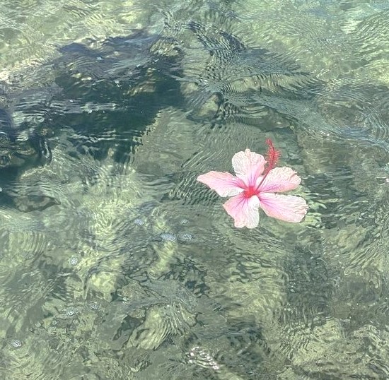 dreamyyarchive's tweet image. 