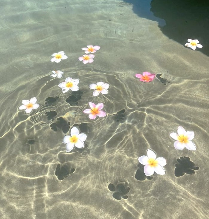 dreamyyarchive's tweet image. 