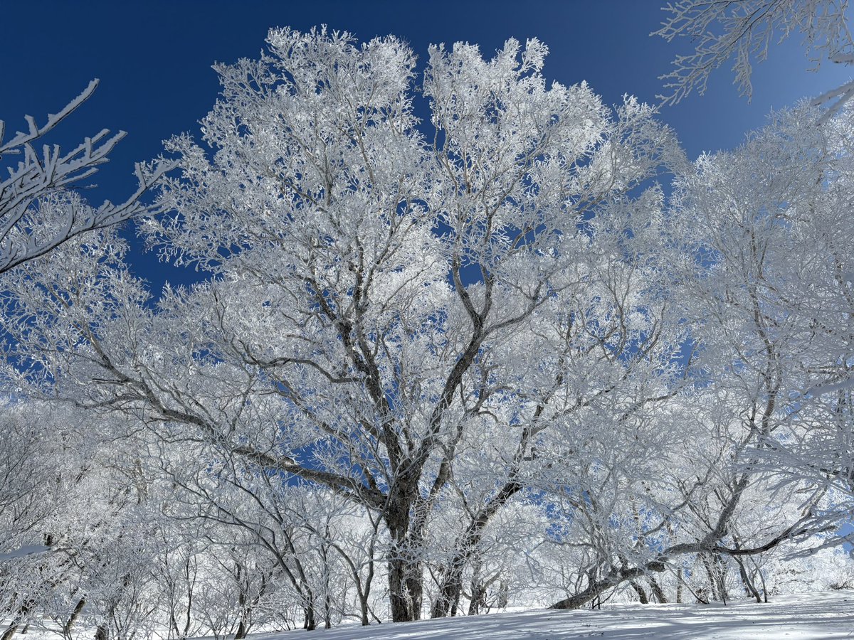 平標山の人(平標山の家公式) tweet media